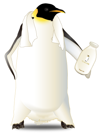 Website of Satoshi Iriinafuku